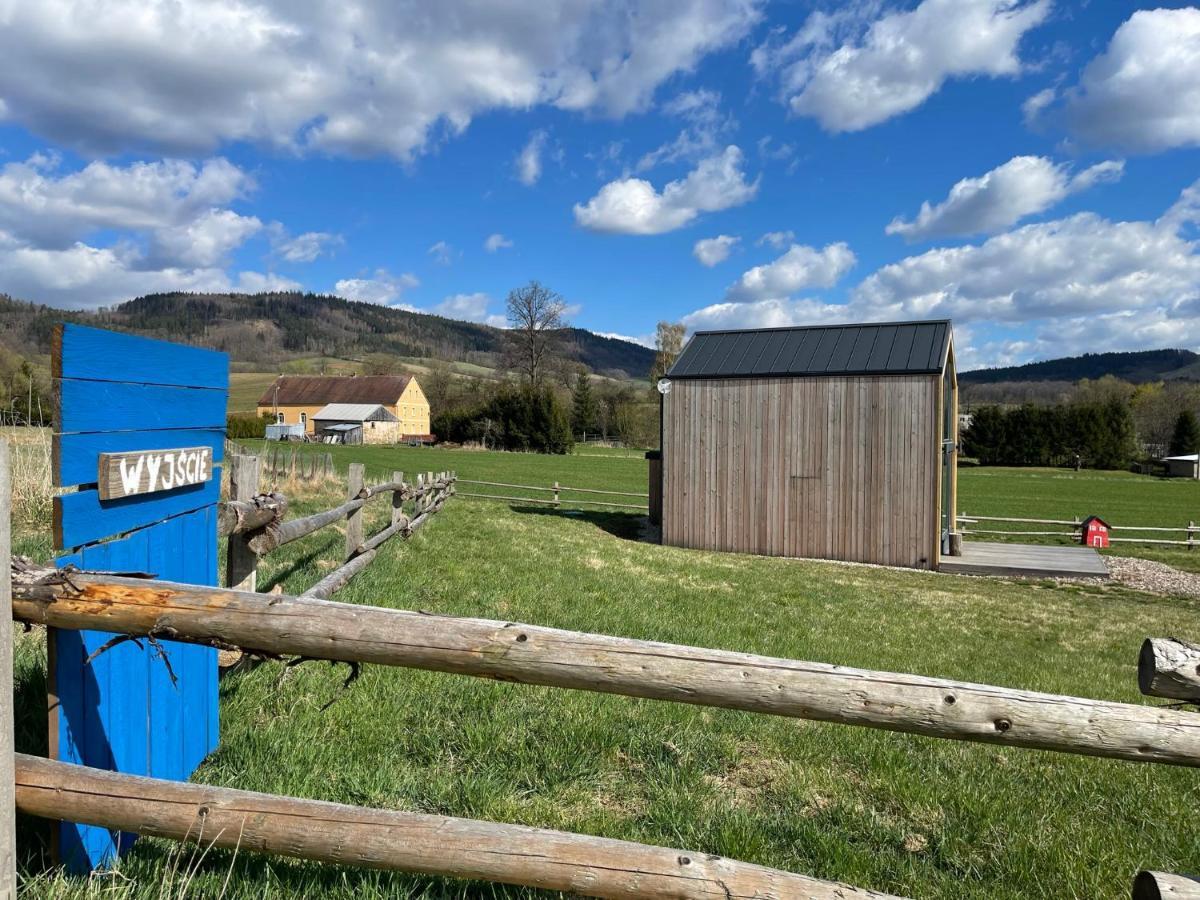 Domek Pod Stromcem Czernica  Экстерьер фото